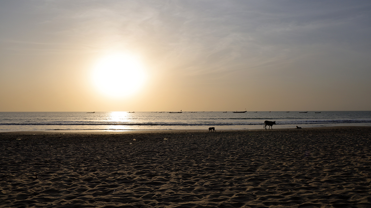 Sunset at the beach in Gambia.